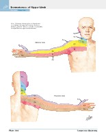 Frank H. Netter, MD - Atlas of Human Anatomy (6th ed ) 2014, page 447